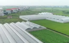 Đổi mới, phát triển và nâng cao hiệu quả kinh tế tập thể