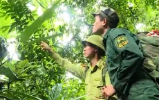 Bảo tồn động vật hoang dã - Những nỗ lực không ngừng nghỉ