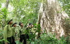 Hà Tĩnh huy động sức dân trong công tác phòng chống cháy rừng