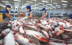 Cơ hội đẩy mạnh xuất khẩu thủy sản sang EU