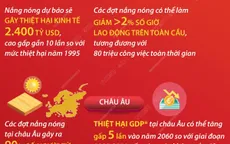 Nắng nóng gây tổn thất nghiêm trọng trên toàn cầu