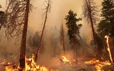 Mỹ: Cháy rừng lan rộng, thiêu rụi hơn 6.700 ha gần Công viên Quốc gia Yosemite