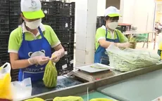Đánh giá hiệu quả kinh tế tập thể theo tiêu chí toàn diện