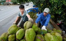 Thách thức xuất khẩu chính ngạch sang Trung Quốc