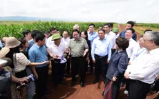 Cuộc trò chuyện của Thủ tướng và người nông dân trên cánh đồng nguyên liệu đạt kỷ lục thế giới