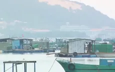 Hàng chục người nuôi tôm hùm điêu đứng vì bị quỵt nợ