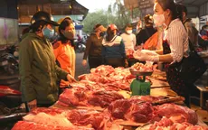 Đẩy mạnh tái đàn để bình ổn giá thịt lợn