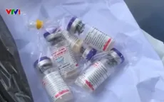 Cảnh báo tình trạng giả vaccine dịch tả lợn châu Phi