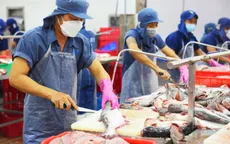 Xuất khẩu nông, lâm, thủy sản 7 tháng đạt hơn 32 tỷ USD