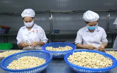 Tăng cường xúc tiến thương mại qua Thương vụ Việt Nam tại nước ngoài
