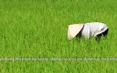 Ám ảnh dông sét trên những cánh đồng