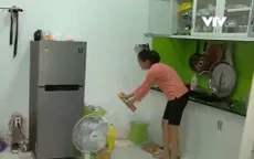 Muỗi bùng phát mạnh tại TP Hồ Chí Minh