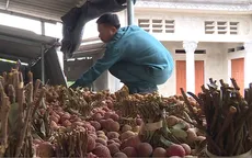 Xuất khẩu khó, vải được đưa vào sấy và chế biến