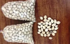 Lừa bán bạch quả chữa bệnh, chiếm đoạt 300 triệu đồng