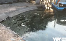 Xuống cấp trầm trọng, nhiều công viên giữa Thủ đô ‘kêu cứu’