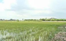 Vùng đầu nguồn Đồng bằng sông Cửu Long sẵn sàng xả lũ đón phù sa