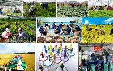 Phát triển kinh tế tập thể - Xu thế tất yếu trong bối cảnh hội nhập quốc tế