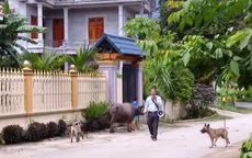 Dòng họ tự quản về an ninh, trật tự