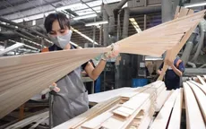 Gỗ dán cứng đối mặt điều tra thương mại tại Mỹ