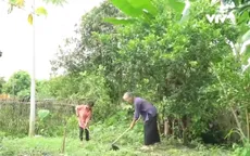 Cặp lá yêu thương: Vì con thương bà