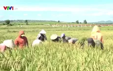 Hiệu quả từ mô hình khai hoang đất, chia ruộng cho người nghèo