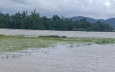 Mưa kéo dài gây ảnh hưởng hàng nghìn ha cây trồng tại Đắk Lắk