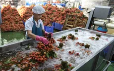 Bắc Giang thu gần 6.800 tỷ đồng từ vụ vải 2022