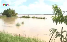 Nỗi lo vỡ đê khi triều cường kết hợp với lũ tại Đồng bằng sông Cửu Long
