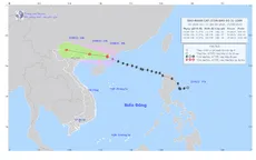 Bão số 3 cách Móng Cái (Quảng Ninh) khoảng 350km, sóng biển cao 4-6m