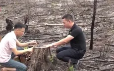 Điều tra vụ chặt phá rừng trái phép ở Khu bảo tồn Kẻ Gỗ
