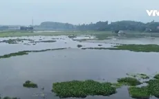 Thi công trạm bơm khiến ruộng ngập úng không thể canh tác