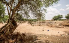 Vùng Sừng châu Phi trước mùa mưa khô hạn thứ 5 liên tiếp