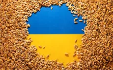 LHQ kêu gọi tiếp tục giải phóng các kho chứa ngũ cốc ở Ukraine