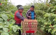 Nắng nóng khiến nông nghiệp châu Âu và Mỹ gặp nhiều thử thách