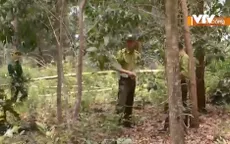 Thiếu nhân lực để giữ rừng tại Lâm Đồng