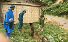 Xuất hiện vết nứt dài hàng trăm mét tại Nghệ An