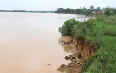 Phú Yên: Bờ sông Ba sạt lở, người dân mất đất sản xuất, nguy cơ mất luôn nhà
