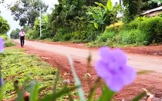 Cặp lá yêu thương: Con ước mơ thay mẹ