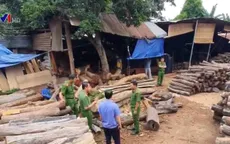 Phát hiện điểm tập kết trái phép gỗ quý tại Đắk Lắk