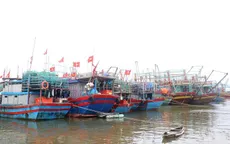 Phần lớn tàu thuyền ở Quảng Trị đã neo đậu an toàn tránh bão Noru
