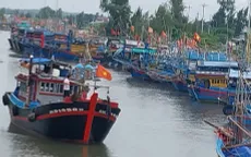 Ảnh: Neo đậu tàu cá gần khu vực cảng Sa Kỳ, Quảng Ngãi