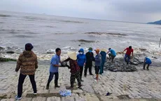 Hà Tĩnh huy động hàng trăm hộ dân gia cố đê biển bị sạt lở