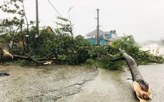 Bão chưa vào, lốc xoáy đã tàn phá một thị trấn ở Quảng Trị