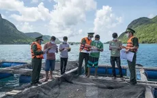 Triển khai tháng cao điểm khắc phục thẻ vàng IUU