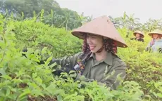 Thế hệ nông dân tri thức và những miền quê đáng sống