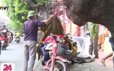 Người dân nghĩ gì về lộ trình áp dụng kiểm định khí thải xe máy?