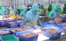 Việt Nam - EU: Còn nhiều dư địa trong hợp tác thương mại