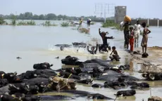 Hơn 1.280 người tử vong do lũ lụt ở Pakistan, 1/3 là trẻ em