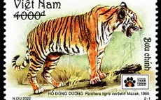Việt Nam phát hành bộ tem về hổ nhân dịp Diễn đàn quốc tế về bảo tồn hổ