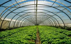 Nhân rộng mô hình số hóa nông nghiệp tại Trung Quốc